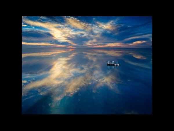 신성한, 이혼 웹툰