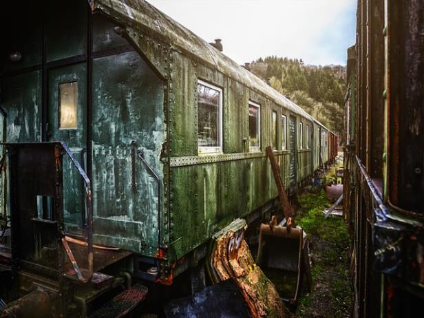 다른 것들 화제의 참가자