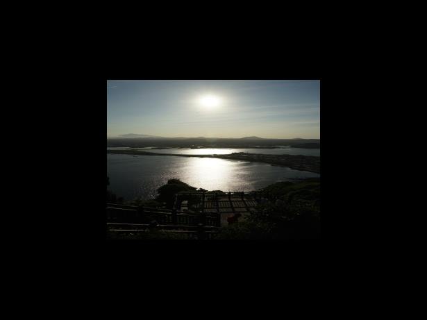 피고 보험사의 주장