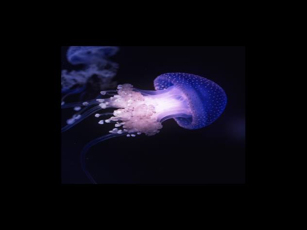 가족관계 간 증여해라