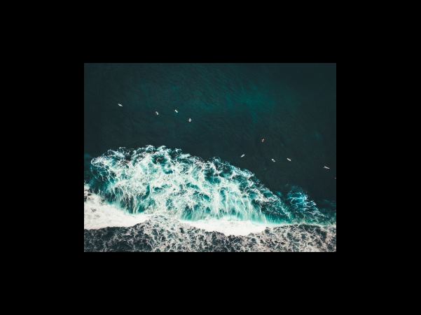 경매 물건으로 보는 가등기