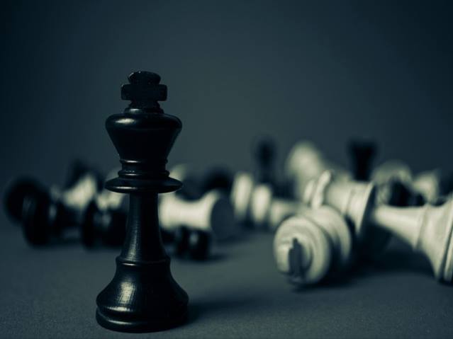 국화 재배관리 번식 화분 키우기 이식 방법