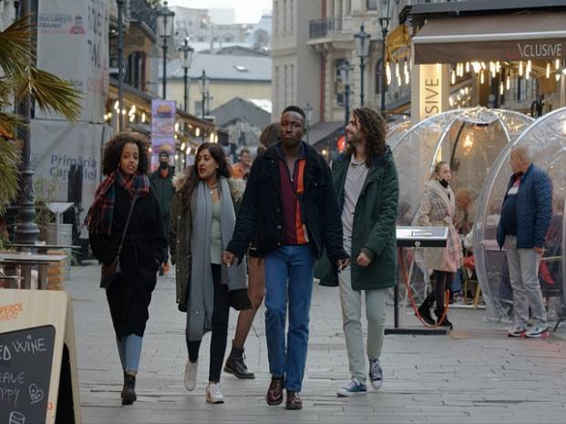 느티나무 식재 및 관리 팁