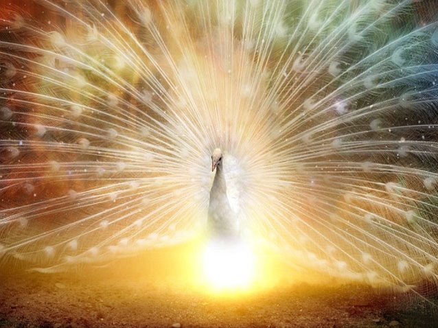 딴지일보 창간 1995 200