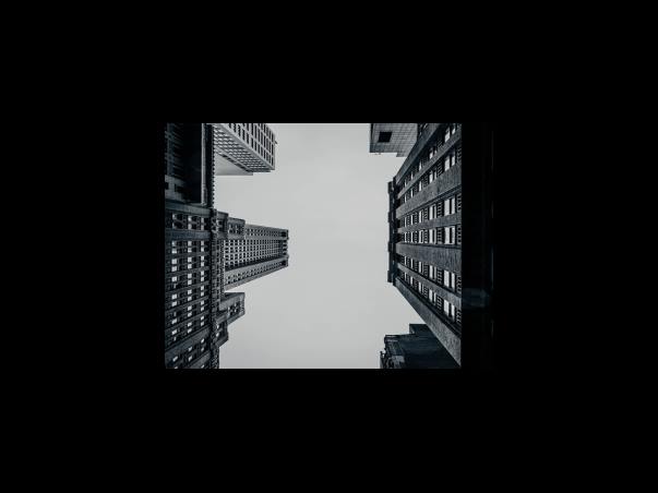 모라토리움과 디폴트의 차이