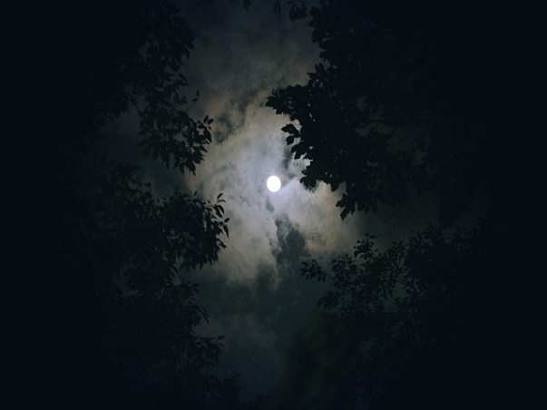빌리카 고객센터 자주 하는 질문FAQ