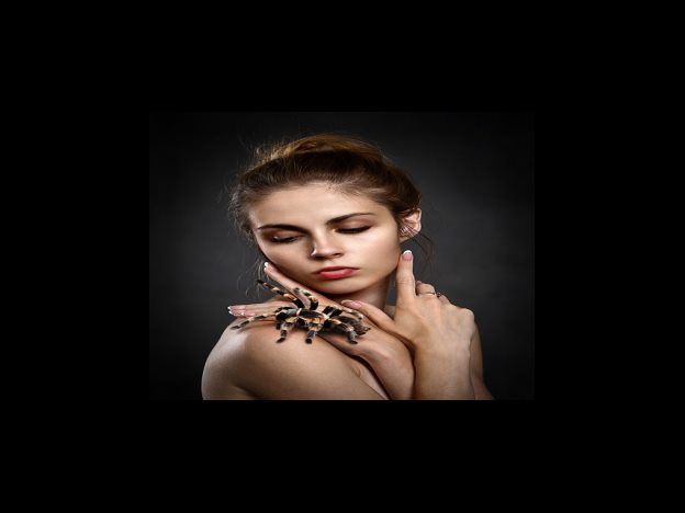 2024년 최저시급