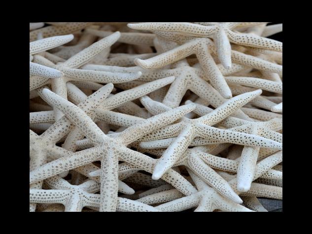 저작권 사적이용을 위한 복제