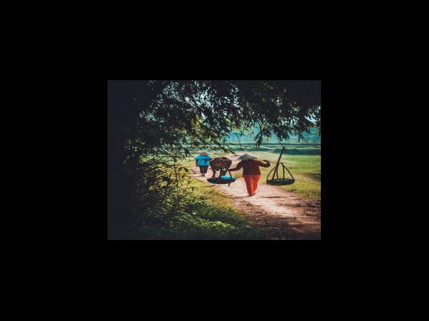 6차 대상자 조회