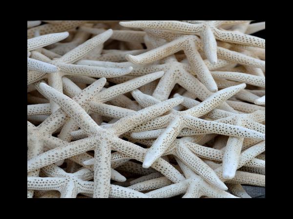 광주상생카드 사용