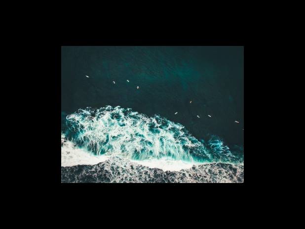 러브 데스 로봇 시즌 1목격자The Witness