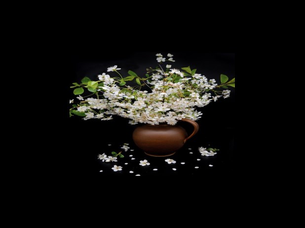 유의사항, 후기