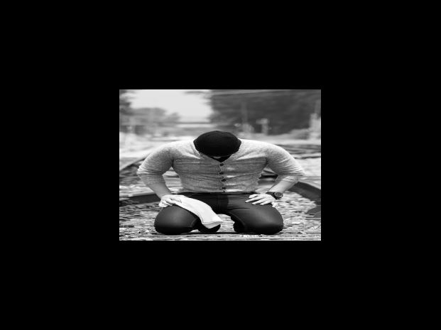 밀크씨슬의 하루 복용량은?