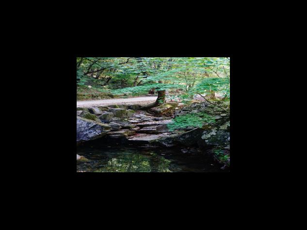 신종 코로나바이러스 확진시 자가 격리 기간, 보상금 및 격리 지침