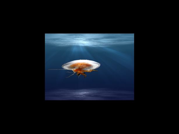 국민연금 예상수령액