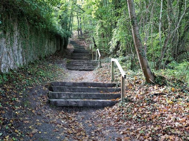 일산화탄소. 탄화수소. 매연?