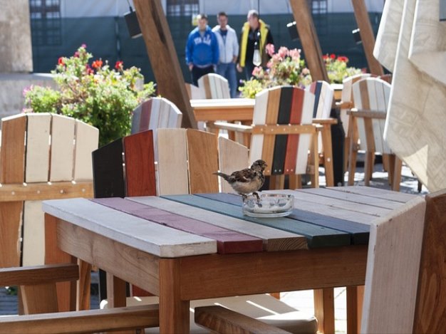 2023 연말정산 달라진 내용 정리 카드공제 부분