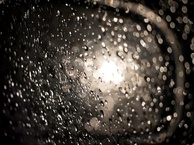 일괄계약 발급의무자