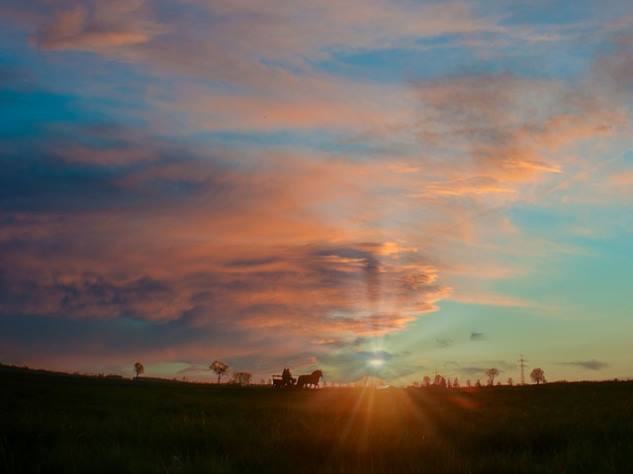 달걀 보관법에 관한 사실