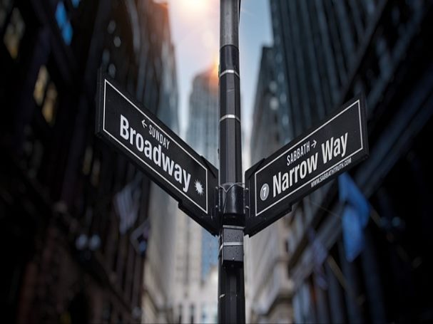 화장실통 Cat Litter Box