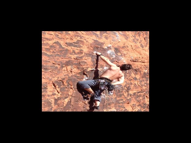 면역과 비타민D 관계성