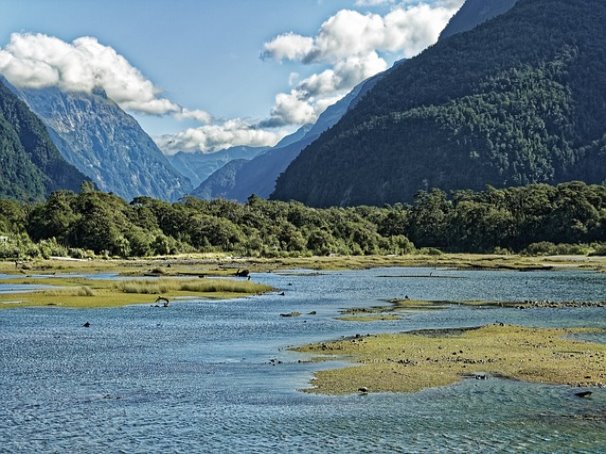 운용지시 지연이 없는 경우에도 디폴트옵션으로 운용할 수 있어요.