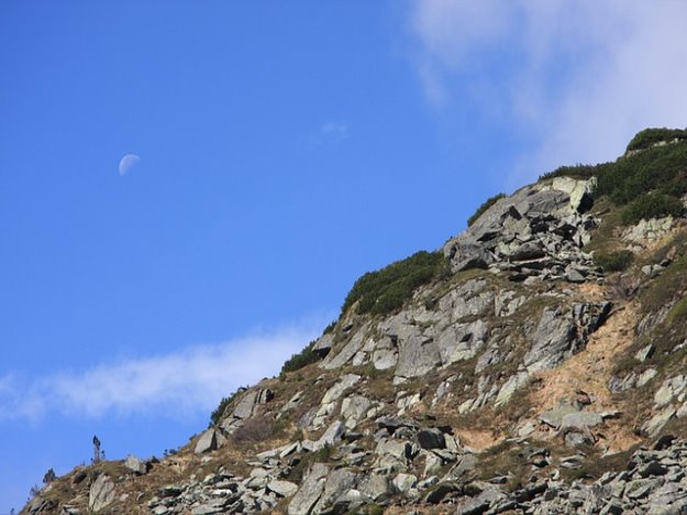 티타늄과 조화로운 영롱한 색상