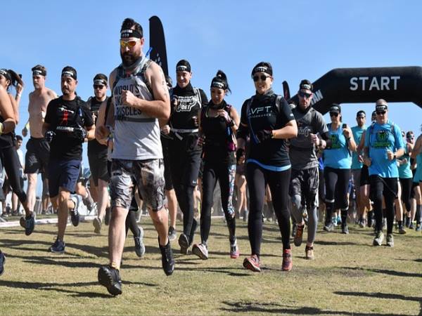 디자인 및 빌드 품질