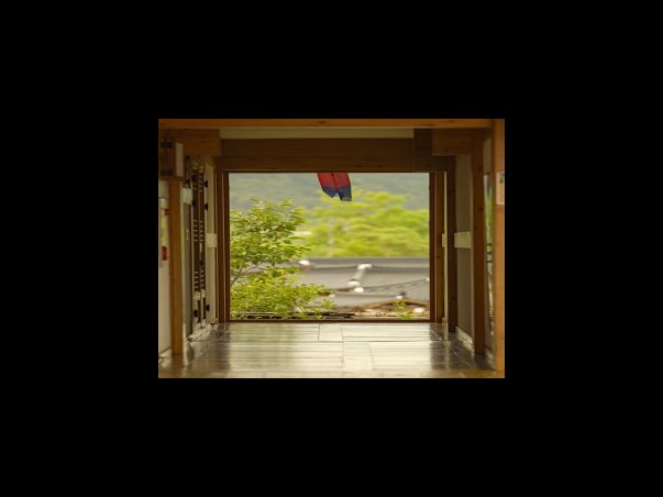 손해평가사 현실 및 연봉