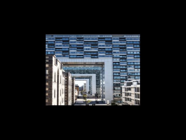 마늘 재배하는 법