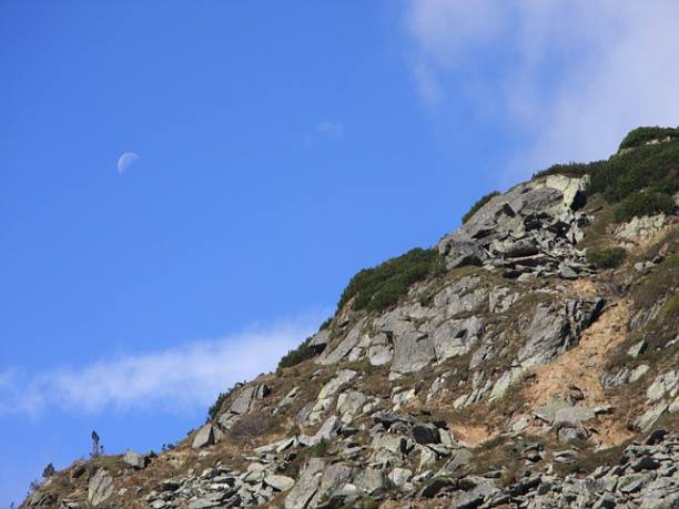 알뜰교통카드의 신청 방법