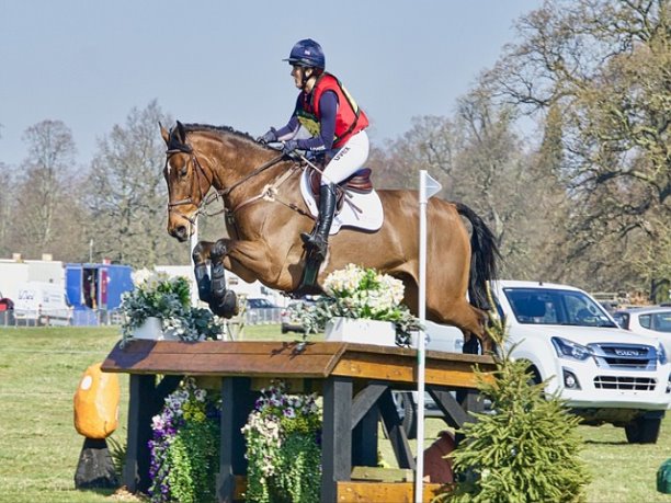 고구마 모종 심기