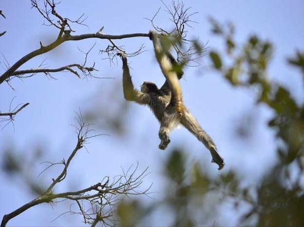 인스타그램에서 스레드 번호는 무엇을 의미하나요?