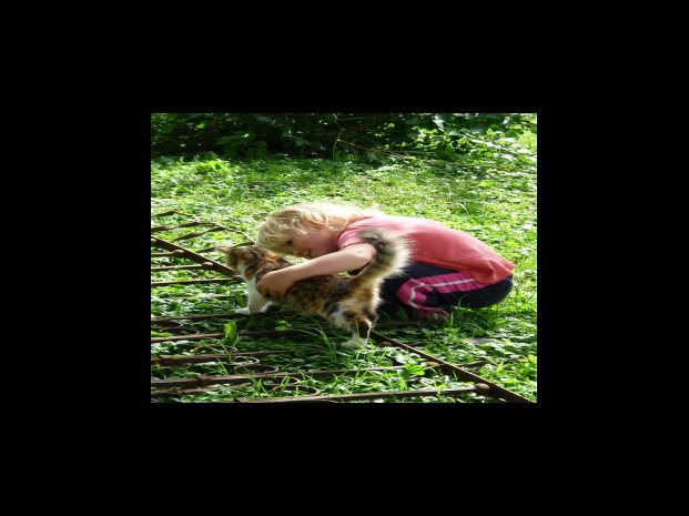 커피 세계를 뒤흔든 가찌아의 에스프레소 머신