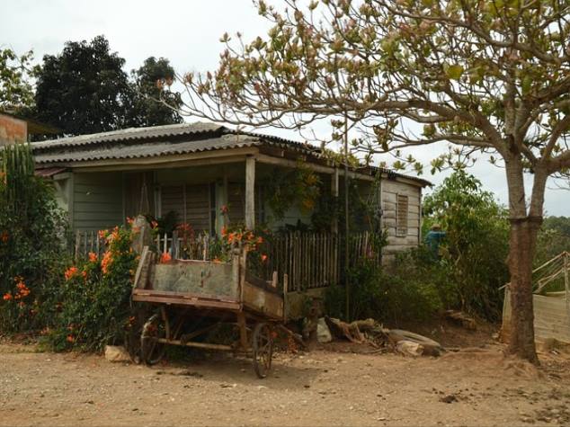 연봉 평균 연봉, 초봉, 실수령액