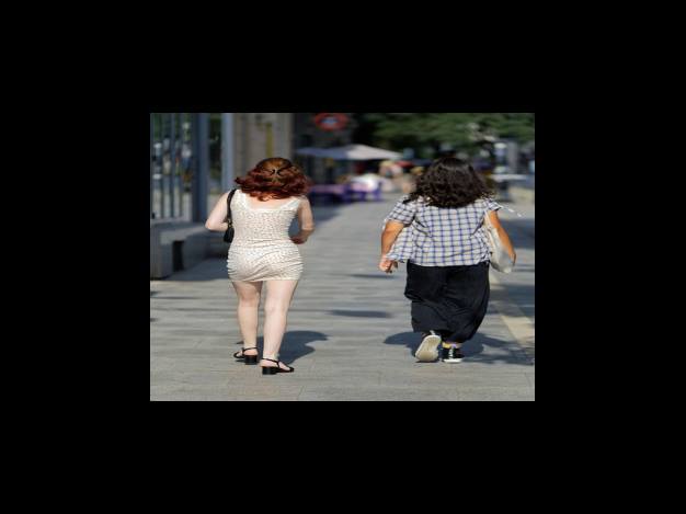 운전면허 약관동의행정정보제공