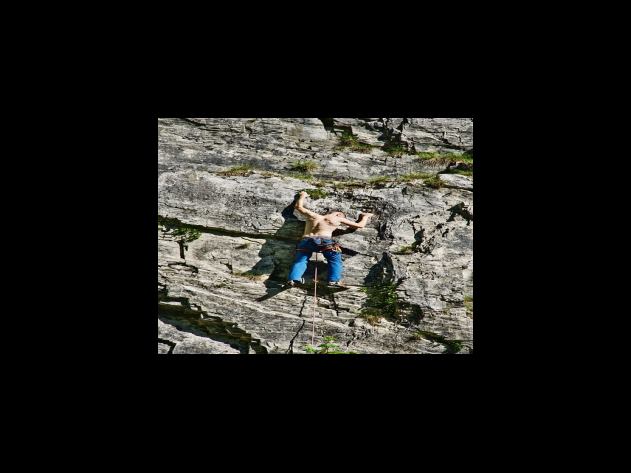 환율 변동성 체크하기