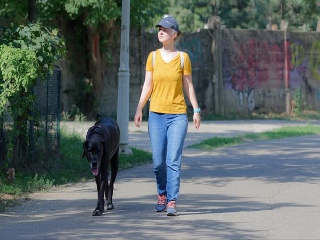 1가구 2주택 비과세, 추가 정보