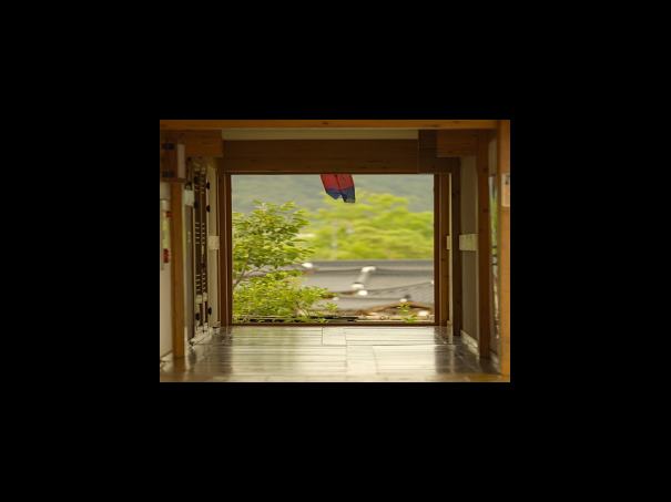 닥터포헤어 클렌저 종류