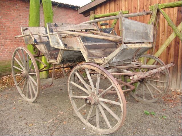 카사바 효능 효과