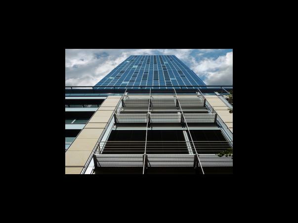 용산구 공공근로, 공공일자리, 취업장려금