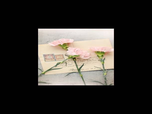 PSG 도르트문트 중계 채널