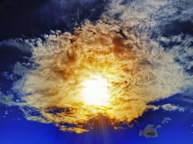 온라인 서점 및 쇼핑몰