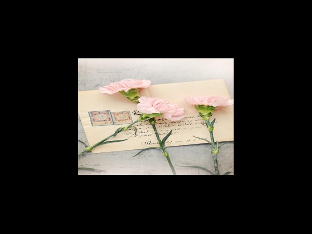 자외선 BUltraviolet B, UVB