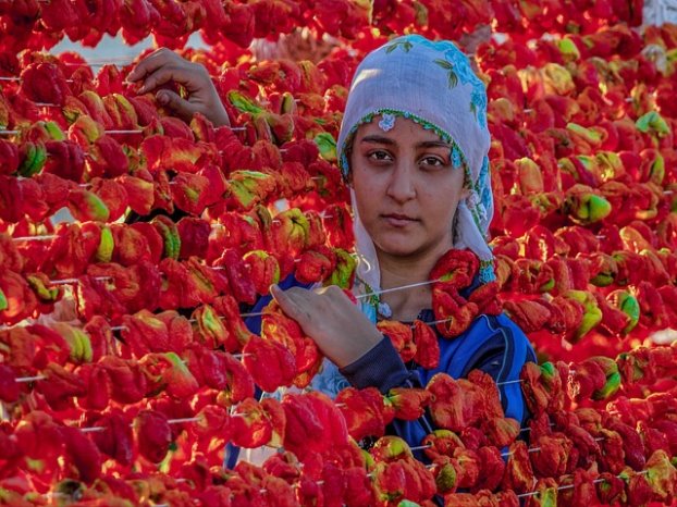 저신용 장기렌트카 상품