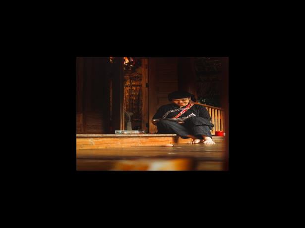 KBO 프로야구 관전포인트